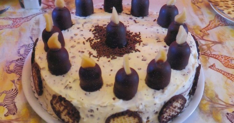 Schokokusstorte mit Mandarinen